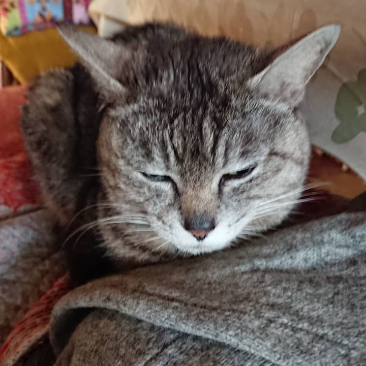 3e4e1502 1040 4fb9 933c 1ab29a7206e2 1561063948461