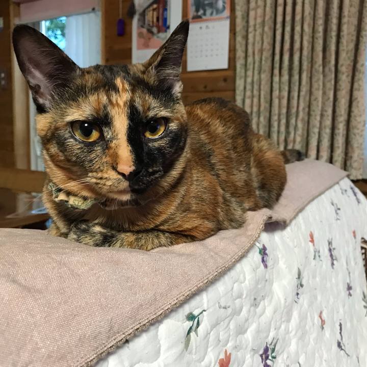 3e4e28d9 00a6 41aa b3bd 01cfe616601e 1626692240423