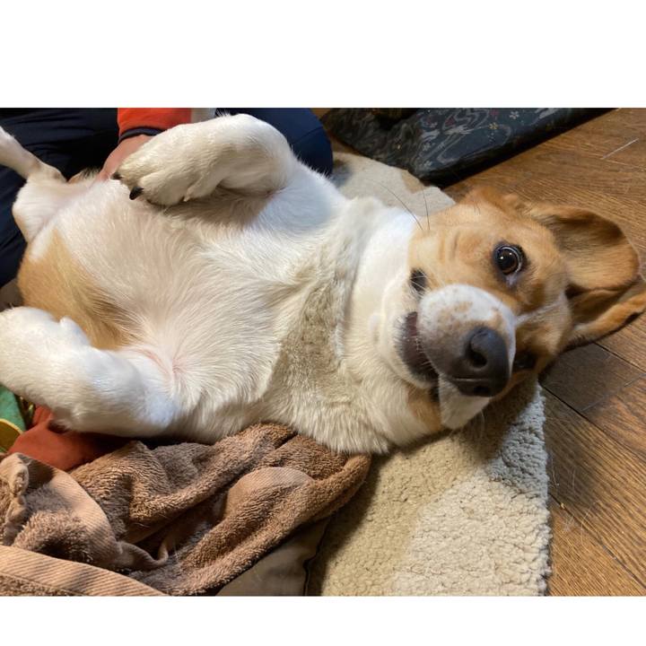 3e4e4a43 bf20 40ed aa14 3e96dc0c377b 1639386660296