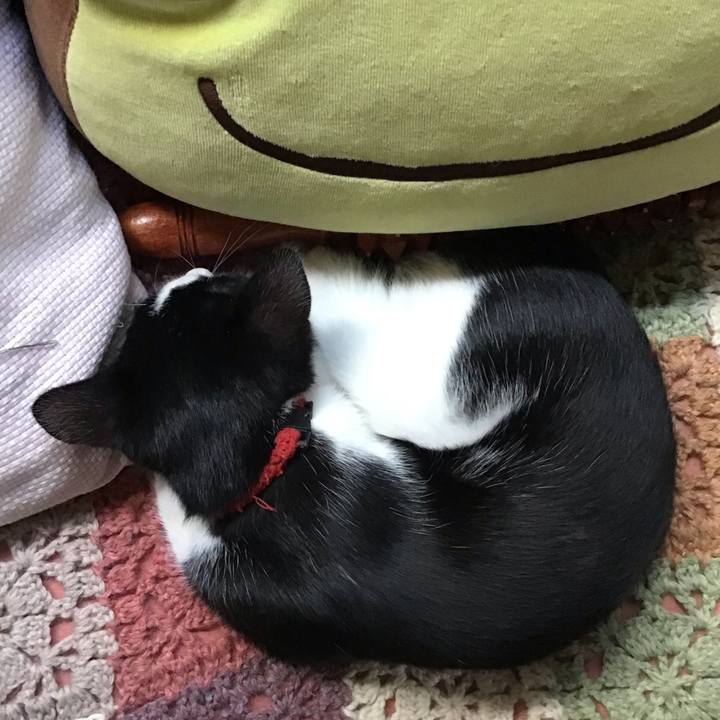 3e4e5c08 c68a 4c7d 8d4d ca8de74162cd 1626926891856