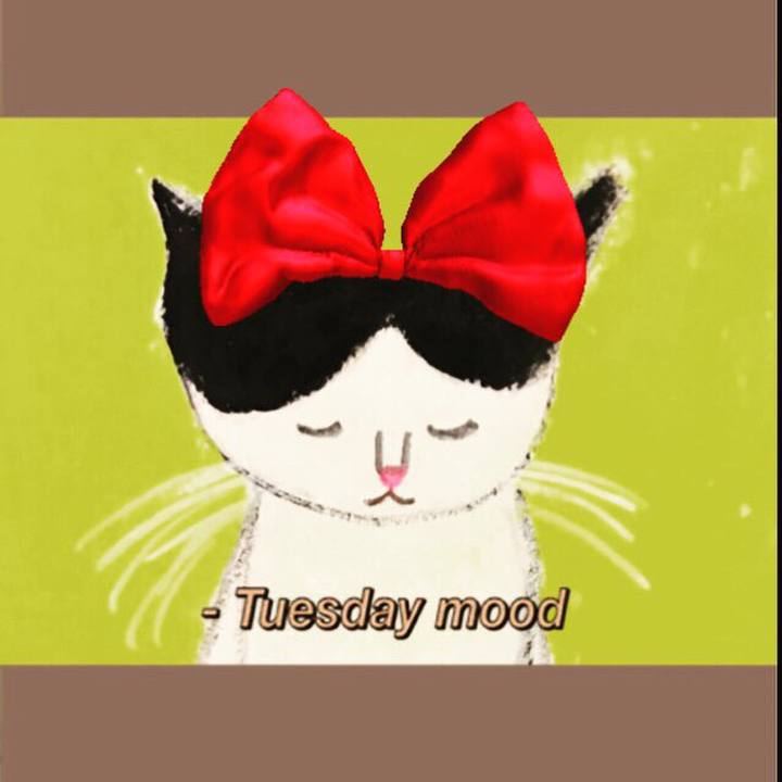 3e4e60cf 8c05 42fc 9c79 5d8f0fc60a89 1562931669394