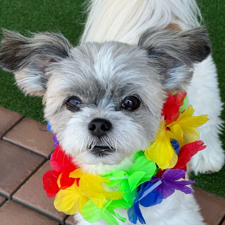 3e4e6af9 3b1c 498d a06b a0f43bd84e18 1690340501760