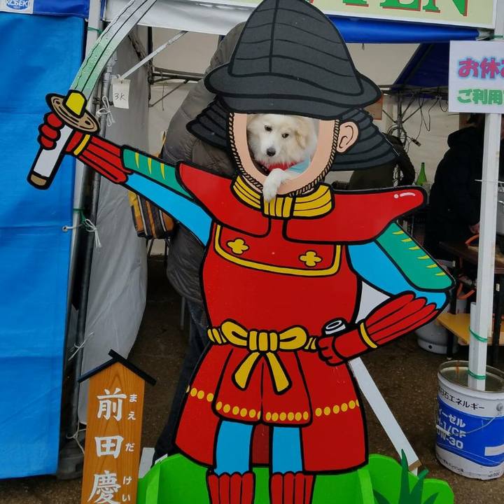 3e4eaf0f aaf4 49a5 8042 28db3dbc2afb 1518330680825