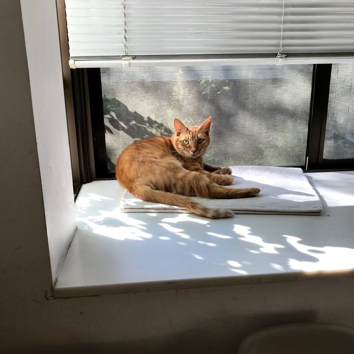 3e4ed206 ac5b 427a 91be a8439725337e 1568694649469