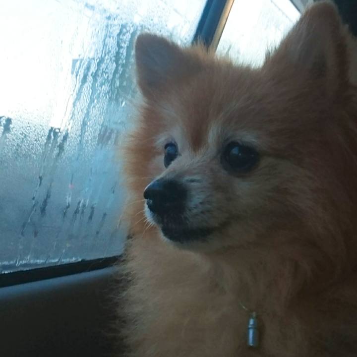 3e4ef25c 7b28 4c2b a289 9847bf5f9b0c 1540505392906