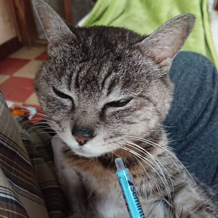 3e4ef5ce 987b 4ad7 afdf 62a87c5536b1 1588373217909