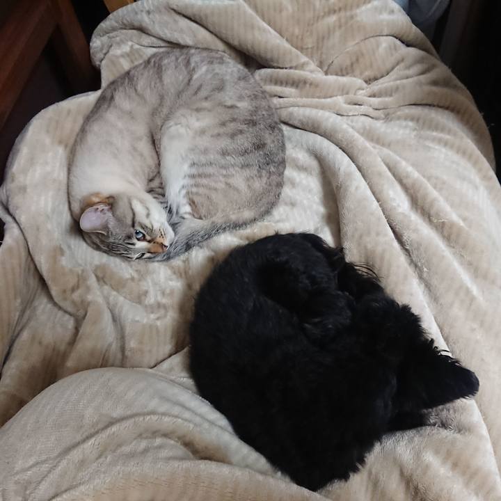 3e4f08ae f7f7 4839 91d5 be1764e0716f 1549809870428