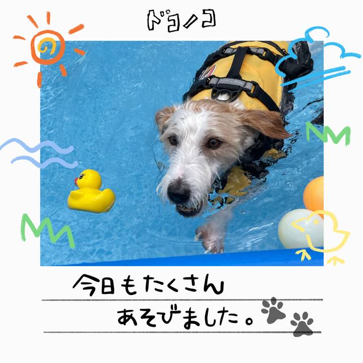 3e4f0db8 2b3c 4c55 bac3 ac6b0f92afd4 1755409696486