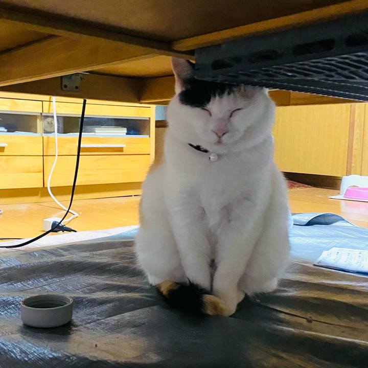 3e4f1eac 9417 46a6 bdbe 46827e401653 1650054152040