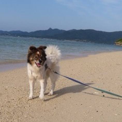 3e4f2ac6 517a 473e 92d3 06130ca63383 1587099262633