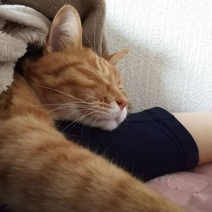 3e4f3ef2 c7b2 47ca 865e e2ffadad3df4 1580604469179