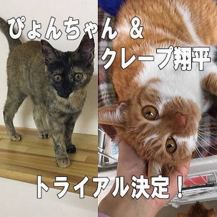 3e4f88fa c843 493f aa27 5a0c7fa59629 1527584046799