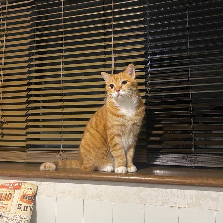 3e4fe2b9 e589 42bd 8746 ea36be6c5cf4 1666127659730