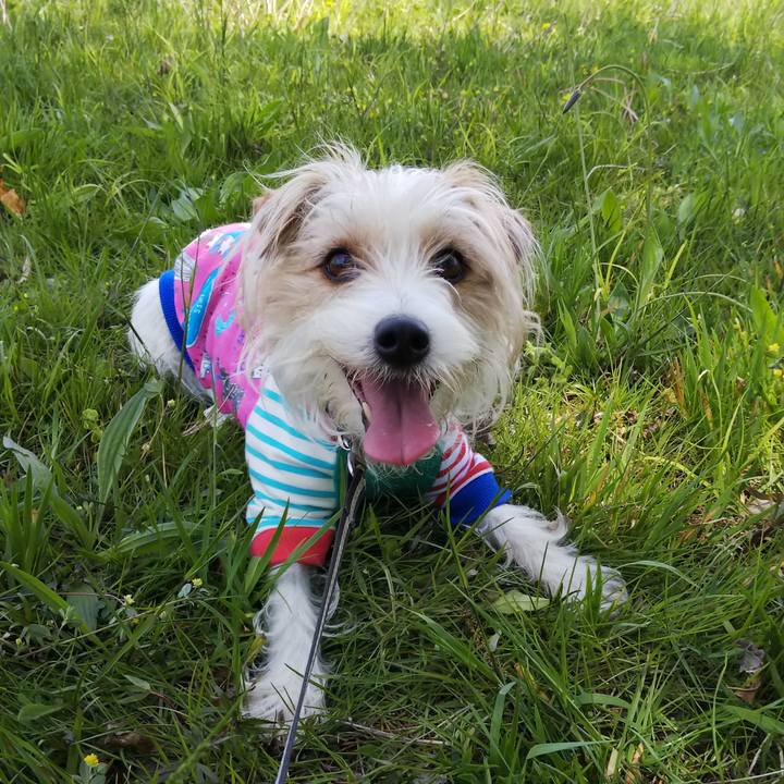 3e4feeba e41e 4455 82d3 0207df34030d 1524385796371