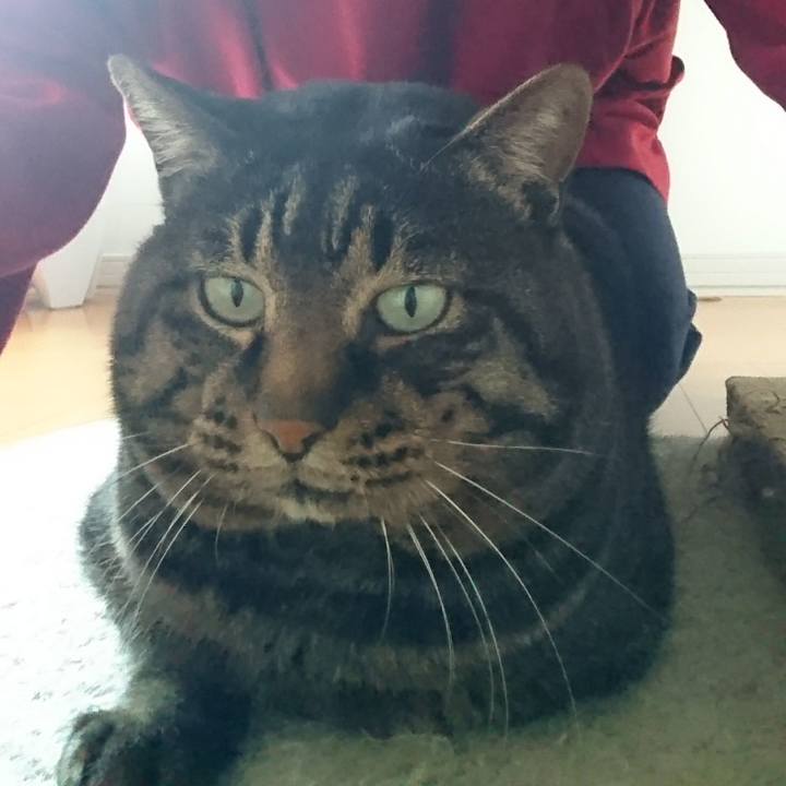 3e500c4f 1d57 402f aa01 7962c240d940 1515397885099