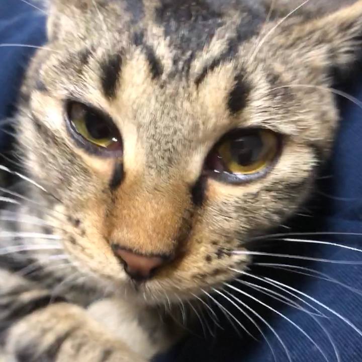 3e504a22 ab61 4923 b192 dc0f30d5b5c2 1736336604006