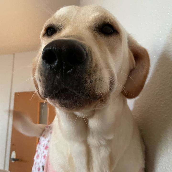 3e504ede 4885 4044 a5d7 d70c697f447c 1640135417349