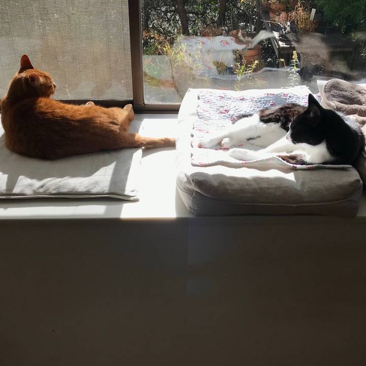 3e50784b ec62 42e8 9569 84c499fd60ae 1513138490715