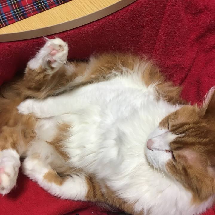 3e507fc3 727c 45ab a2f5 835349015190 1550330621203