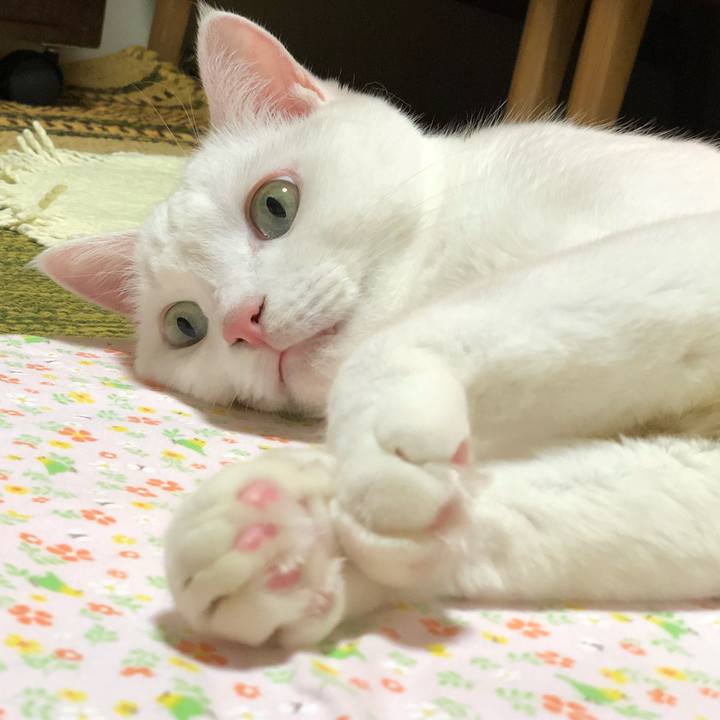 3e508781 91fb 4d60 a821 db325b094a3e 1540217548480