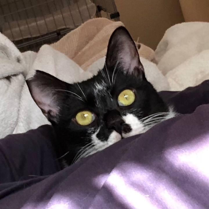 3e50a183 98b6 4e42 a075 5d8b4d961ae3 1541695592771