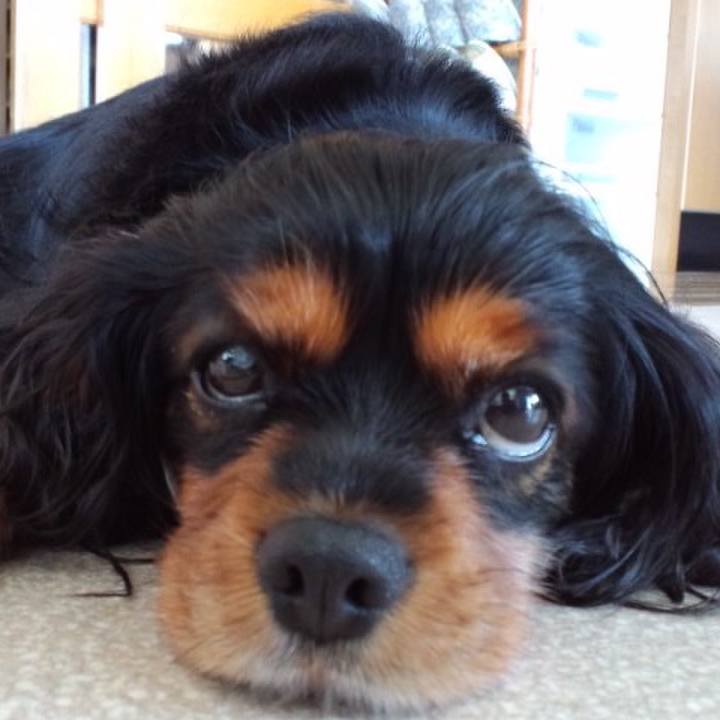 3e5150b4 da11 4674 b0a7 9a2295a6cc25 1524287945648