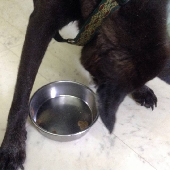 3e51b925 162e 4bf2 8e86 761a2e1e77c2 1508298902494