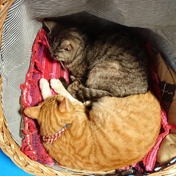 3e52503b adb8 434c 8b05 bb2702e33c74 1561877310277