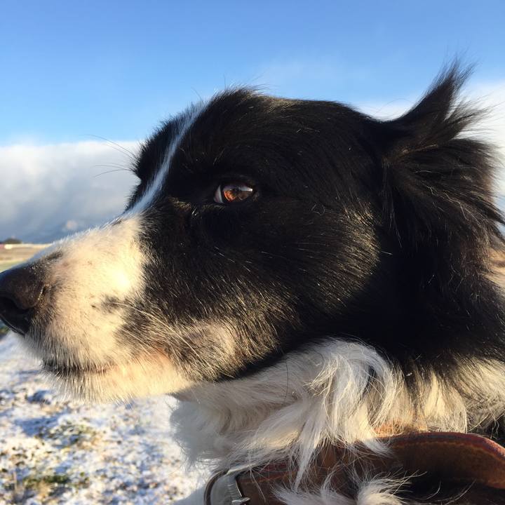 3e529b24 53c3 434e a0a3 2461b969caa6 1515713245295