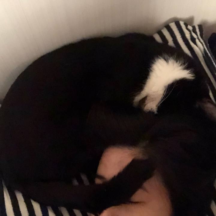 3e52b14a 1cb9 4bb9 b4f4 e10c6760d1ad 1616359144295