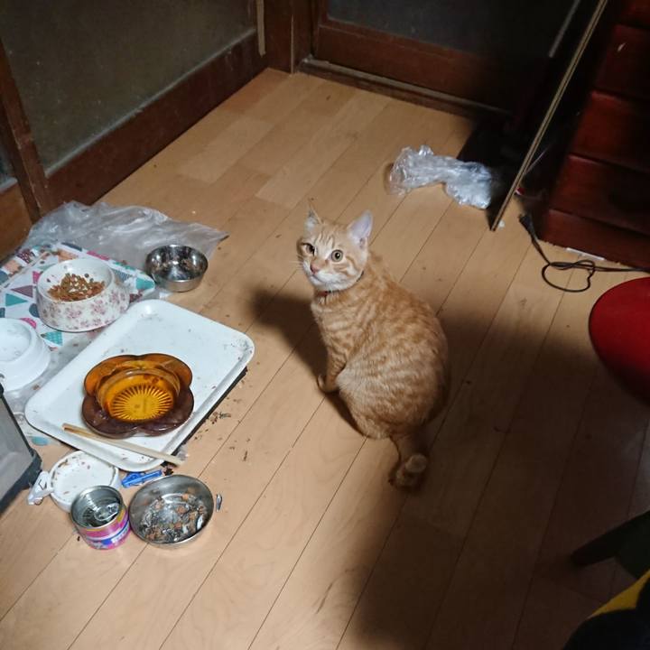 3e52d703 0428 483d bdfb 3112daa54892 1636662513626