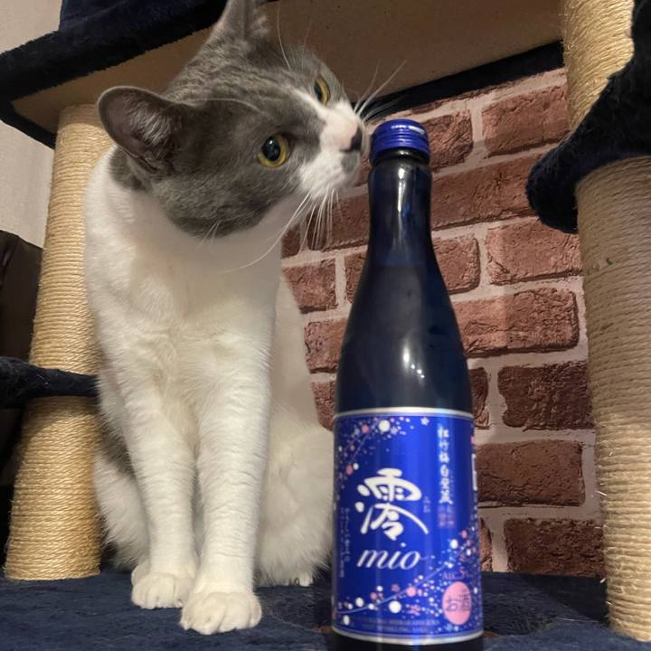 3e5300f4 d111 45f9 bd81 171369c990a9 1653300120771