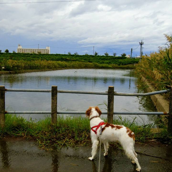 3e531405 2d47 476d aca9 bff092c3f49f 1538286516696