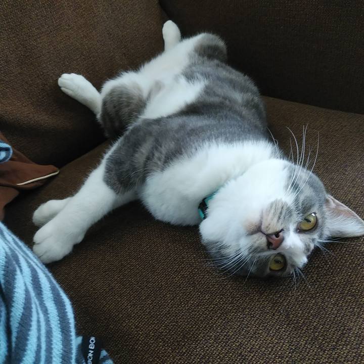 3e531b24 c4be 4dd6 b54f 96b36b212a71 1588643583427