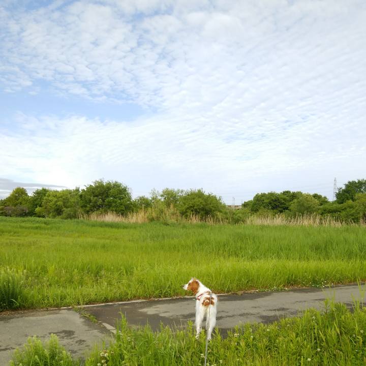 3e533f5b 6d43 4139 b514 1f1a226a1f6c 1525737702518