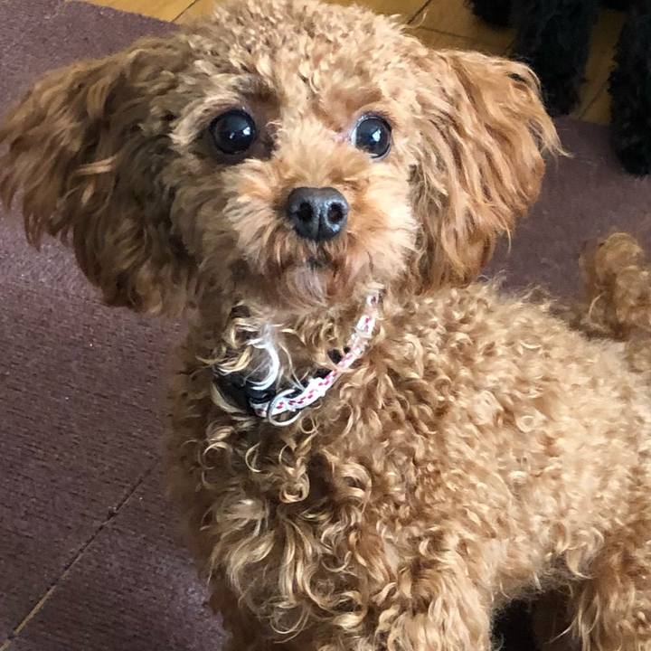 3e539065 20be 427d b8fd a2f1f7ddbb17 1515052733640