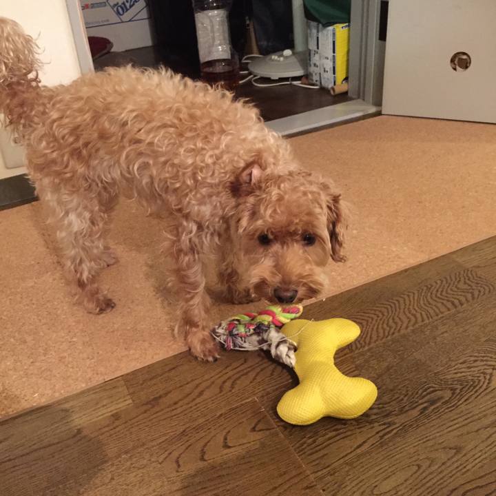 3e53a368 d79e 4bcb be9c b4197e2a110d 1507895744054