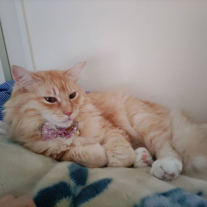 3e541b9c 8b90 4fa1 a0a4 d952f418d6b6 1662677957157