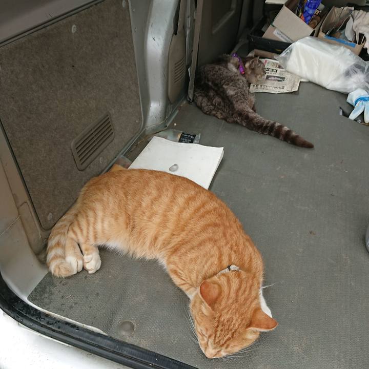 3e543ed8 3ae6 40d5 aa80 6c8b0c75f8b2 1595744053721