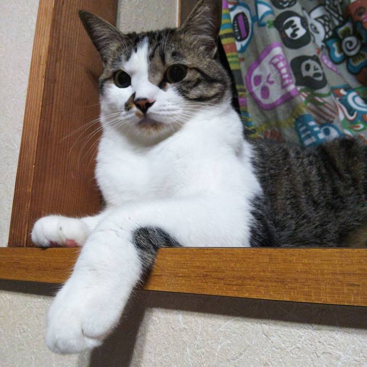 3e5444d2 d1fa 431d 8ddf b0551ea013e6 1651932003441