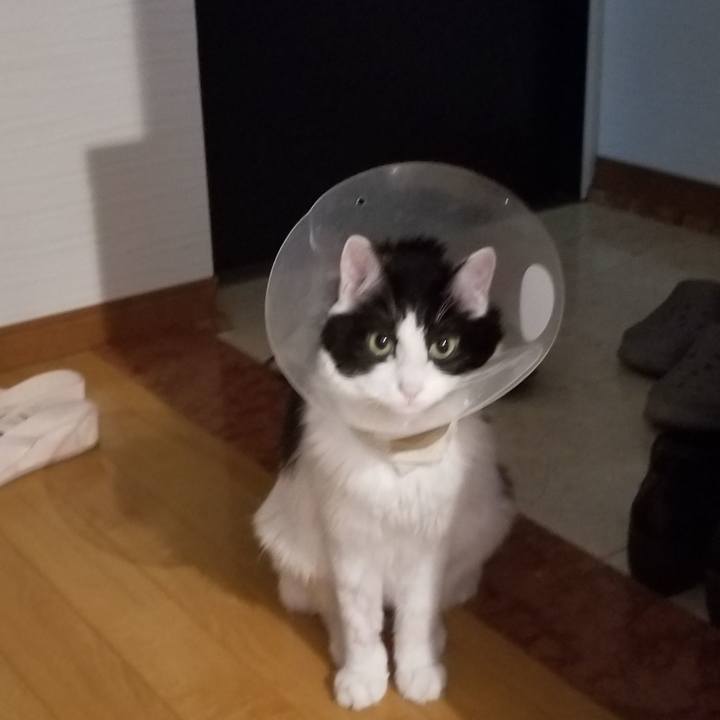 3e54a1df 028f 4a63 9e57 b65a2afae4c3 1534204519362