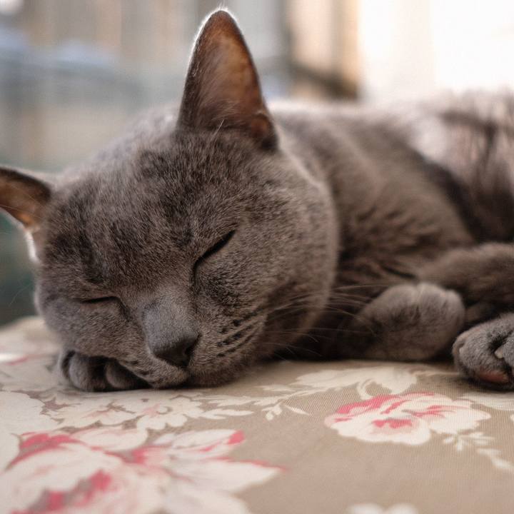 3e54b0a1 2f75 4cd8 8774 fa2e7ac4777f 1575786301493