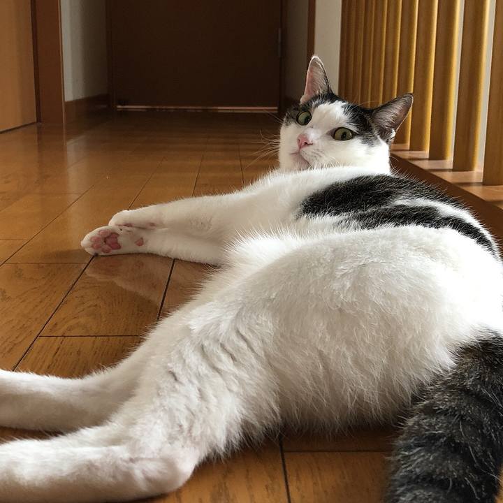 3e54fbde 3915 4c1c bc4c ce6cce482340 1661311240280