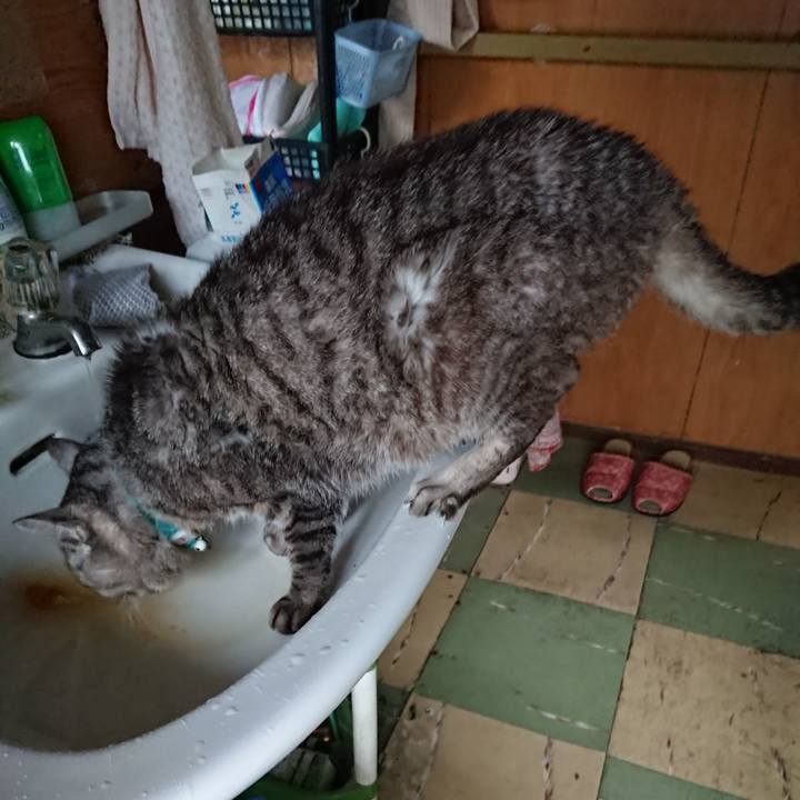 3e5579a6 993d 4825 9e86 a74dc3a64756 1572127175866