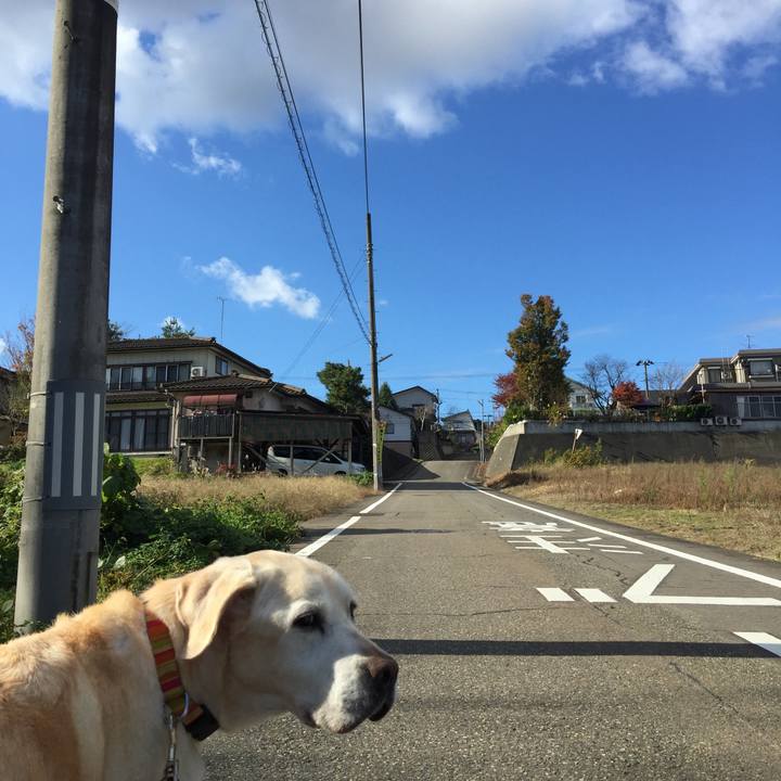 3e559098 9b0c 49b9 9256 f89f60099631 1542188290936