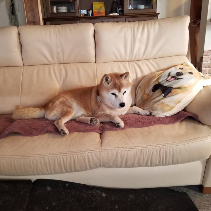 3e55aaf4 f4b7 4a95 8b88 915a8c057a3f 1736641860612