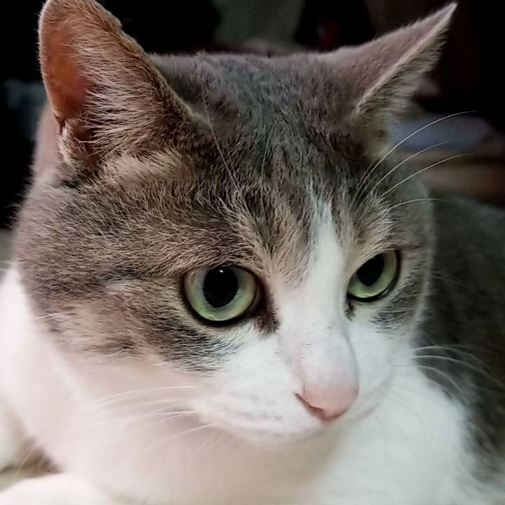 3e55ac4d fb88 4fa9 9174 d505f0a6b887 1626617242483