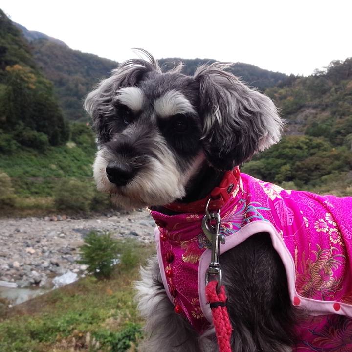 3e55bce5 4e1d 466d b071 678076c7c95d 1652768479299