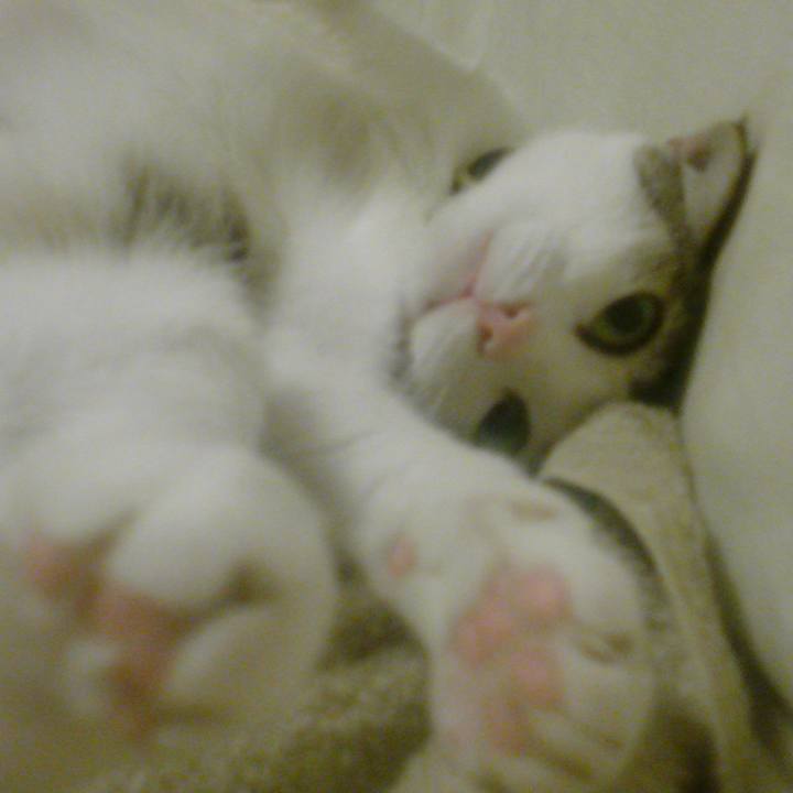 3e55bd7a 727a 4718 8276 3fe46196e2d9 1660599874089