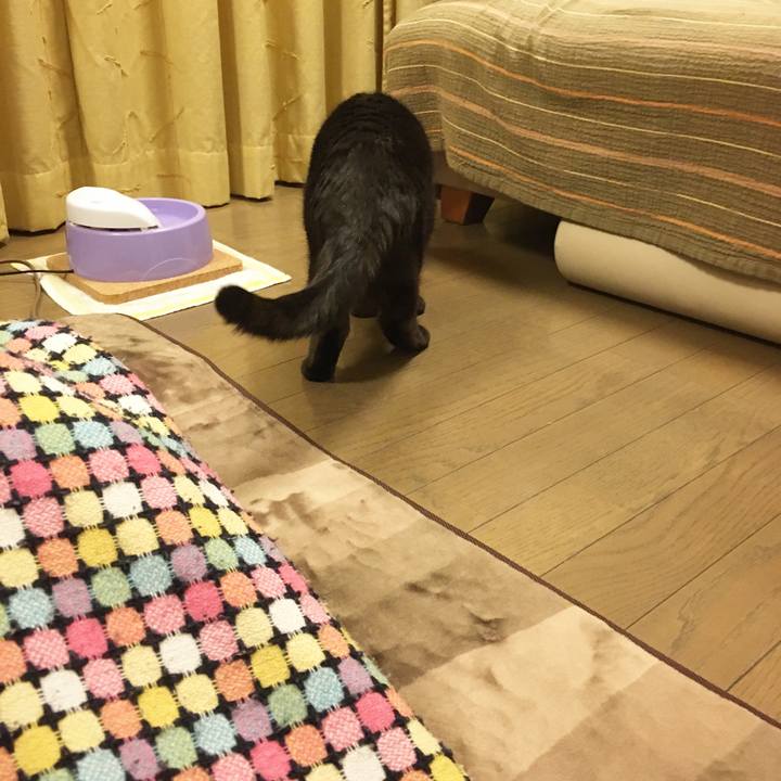 3e55c84d 0645 4d4b bd64 41b8a1502528 1580745169433